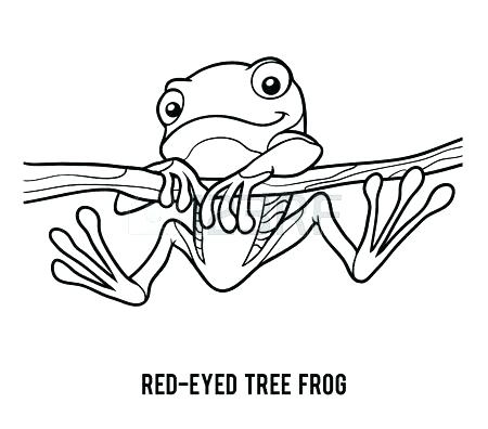 450x396 Red Eyed Tree Frog Coloring Page