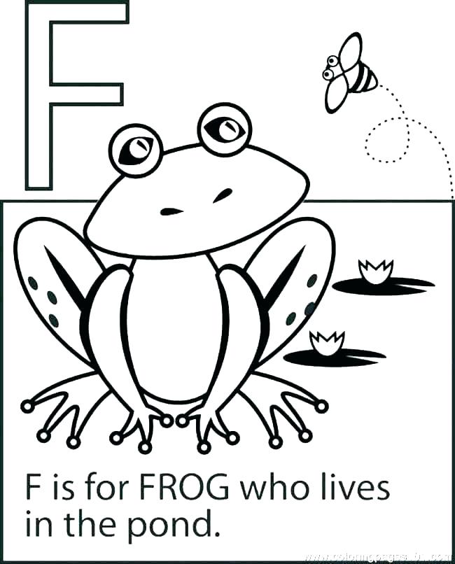 650x806 Frogs Coloring Pages Red Eyed Tree Frog Coloring Page Coloring