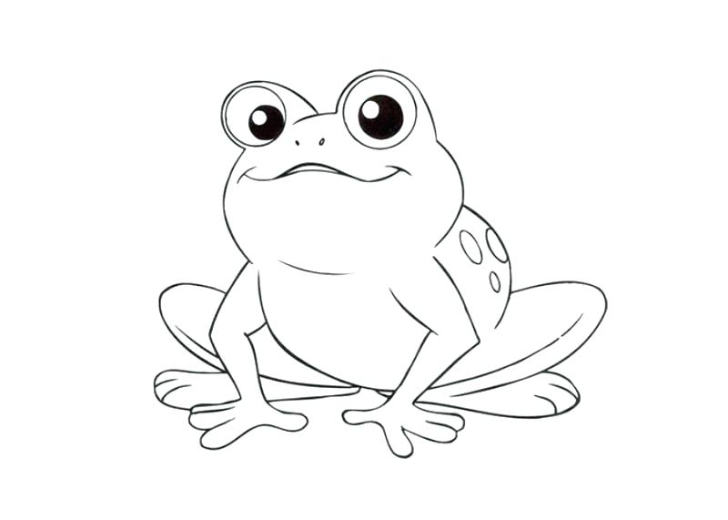 800x571 Red Eyed Tree Frog Coloring Page Red Eyed Tree Frog Coloring Page