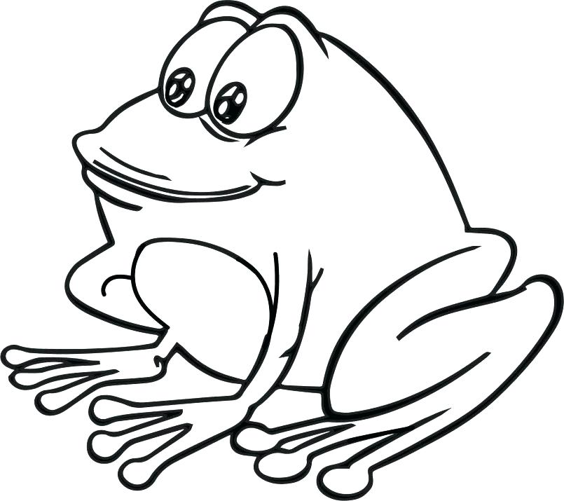 805x715 Tree Frog Coloring Page Frog Coloring Pages Coloring Pages
