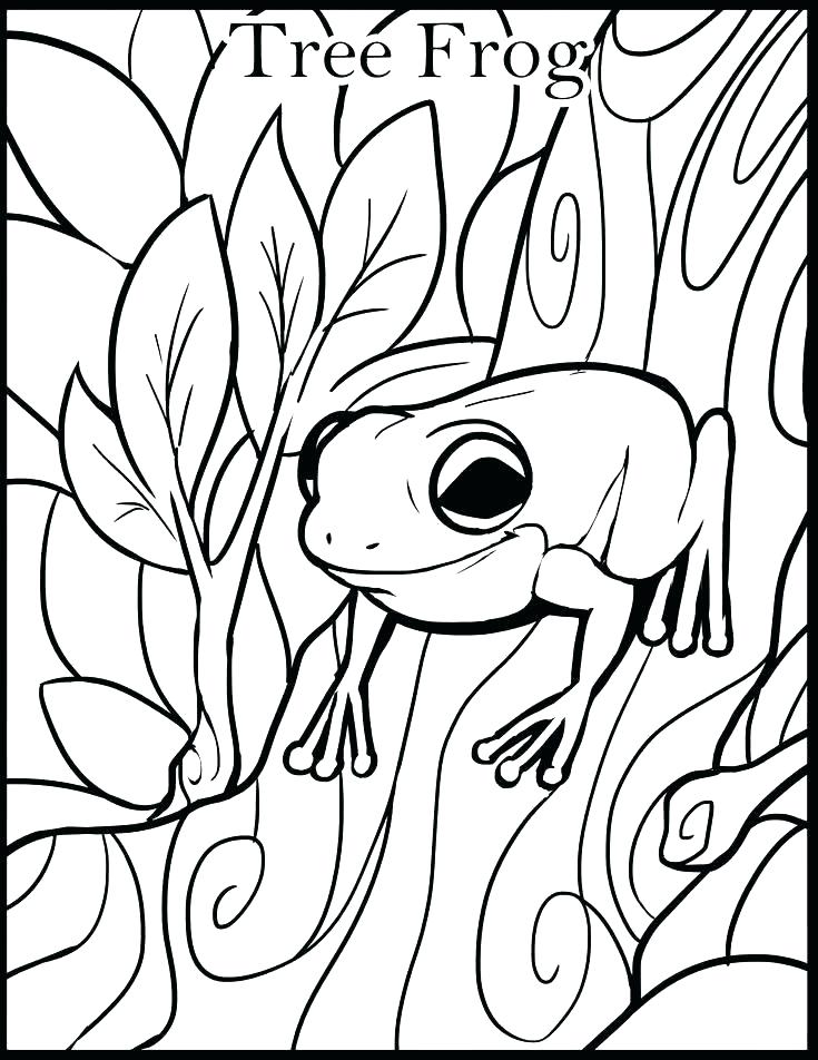 735x952 Coloring Pages Frogs