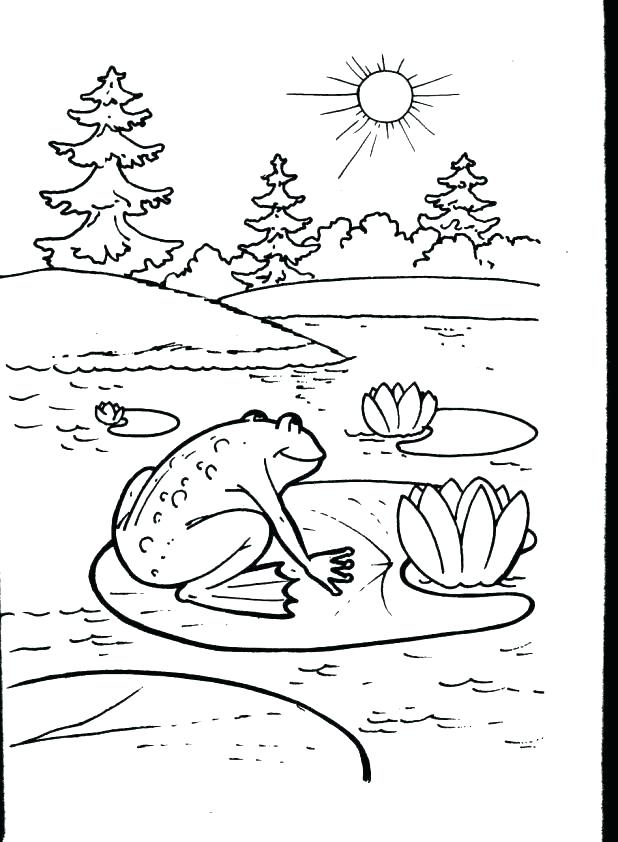 618x842 Cute Frog Coloring Pages Red Eyed Tree Frog Coloring Page Frog