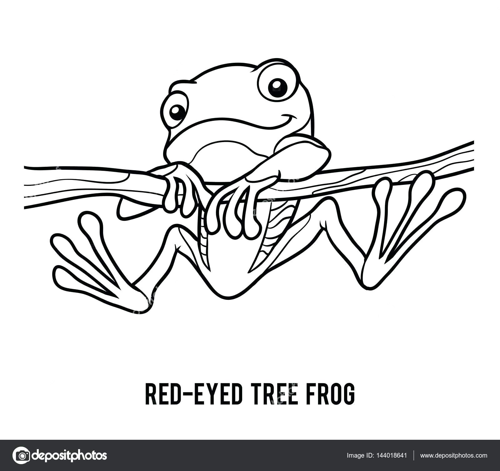 1600x1508 Fresh Coloring Red Eyed Tree Frog Coloring Page