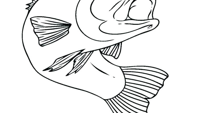 770x430 One Fish Two Fish Coloring Pages Red Fish Coloring Pages One Fish