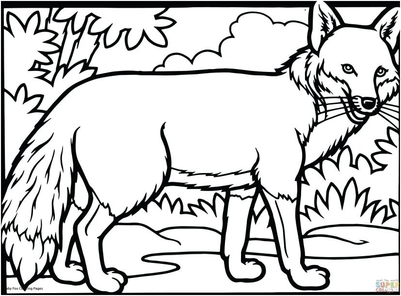 827x609 Fox Coloring Pages Red Fox Coloring Page With Baby Fox Coloring