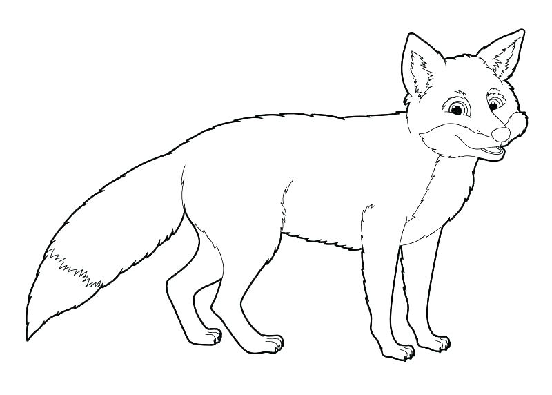 800x572 Red Fox Coloring Pages Arctic Fox Coloring Page Red Coloring Pages