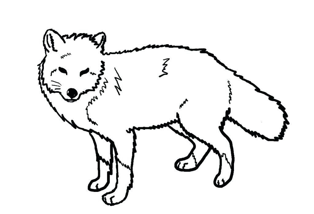 1024x697 Red Fox Coloring Pages Coloring Pages Of Foxes Coloring Pages