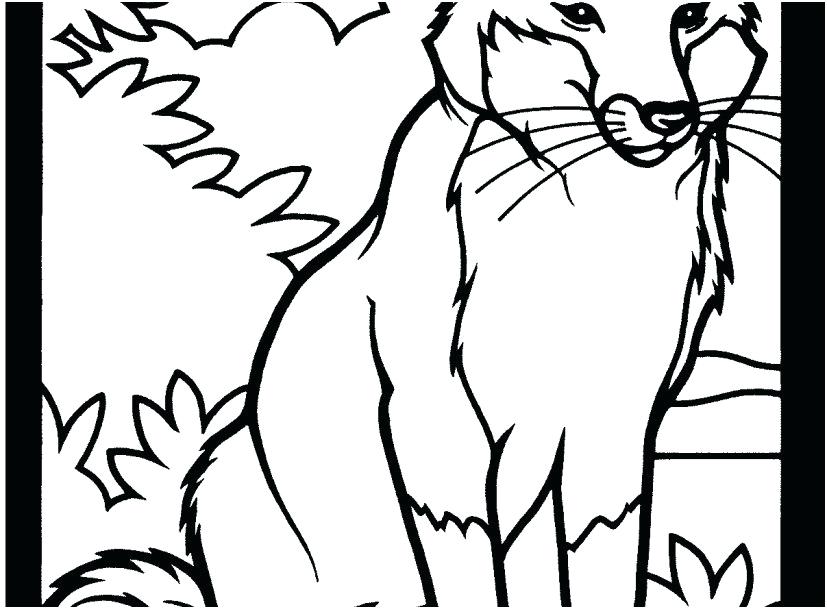 827x609 Red Fox Coloring Pages Red Fox Coloring Pages Coloring Page Red