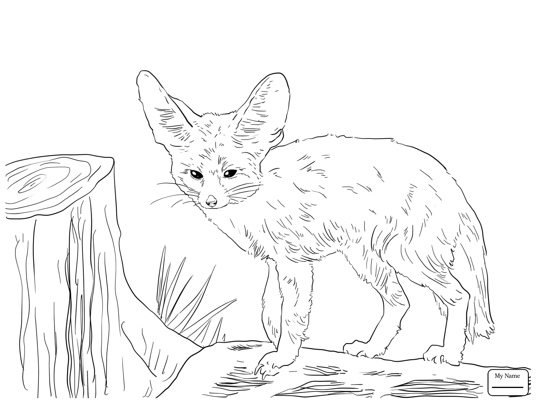 2089x1567 Coloring Page Red Fox Best Of Mammals Red Fox Walking On Snow