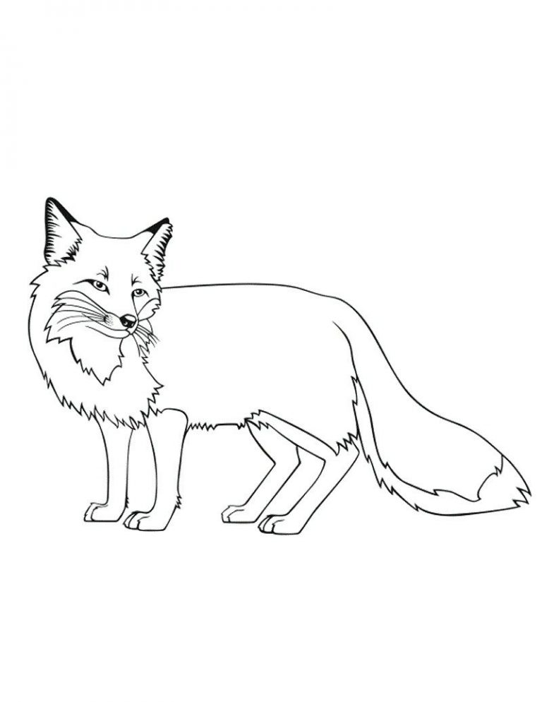 768x994 Coloring Page Red Fox Best Of Strange Pages Foxes Printable Art