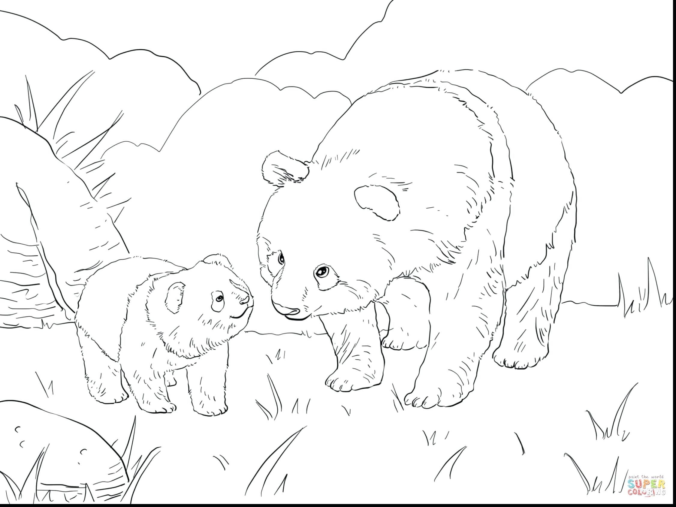 2252x1689 Fresh Coloring Pages Panda Cartoon Coloring Pages Panda New