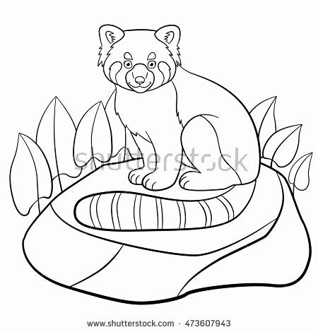 Red Panda Coloring Page at GetDrawings | Free download