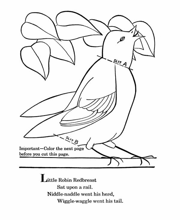 600x734 Little Robin Redbreast Coloring Page