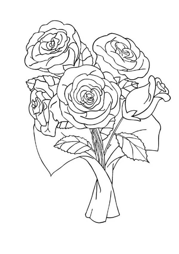 600x853 Red Rose Coloring Page