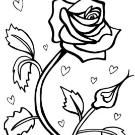 Red Rose Coloring Page at GetDrawings | Free download