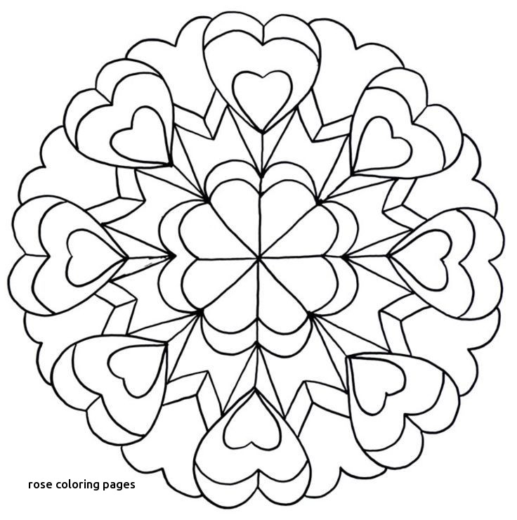 736x740 Red Rose Coloring Page Things To Color For Rose Coloring