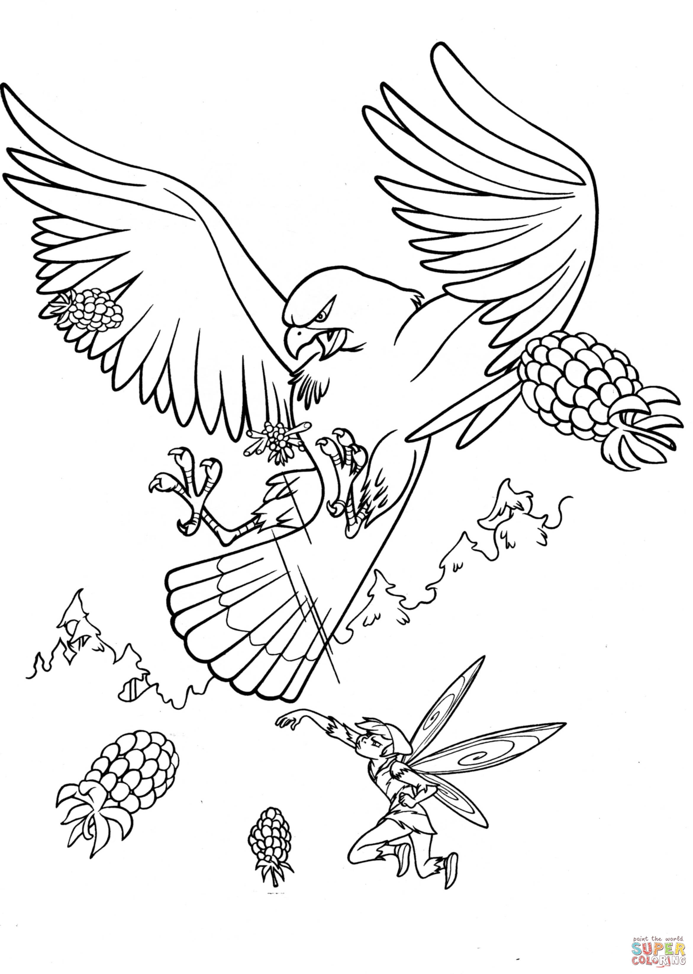 2342x3291 Hawk Coloring Pages Luxury Red Tailed Hawk In Flyght Coloring Page