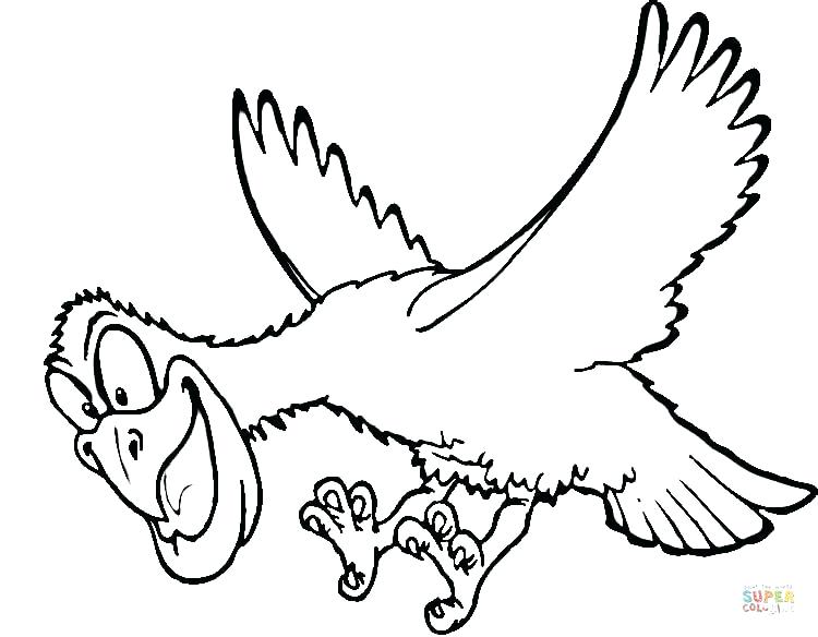 750x584 Red Tailed Hawk Coloring Page Printable Drawn Basic