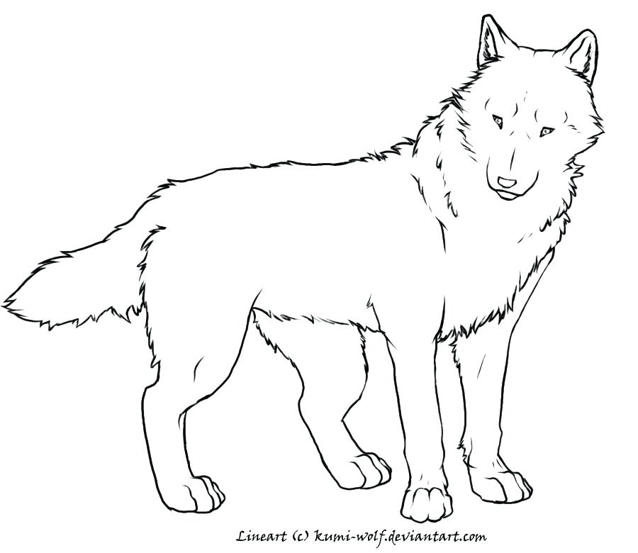 Red Wolf Coloring Pages at GetDrawings | Free download