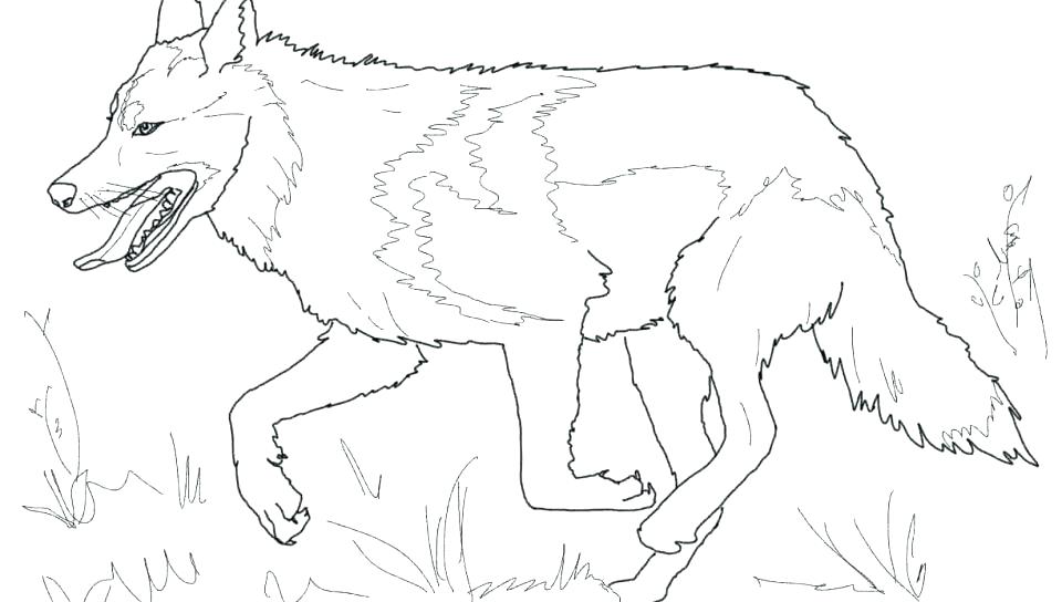 960x544 Wolf Coloring Pages Free Coloring Pages In Wolfcoloring Pagesred