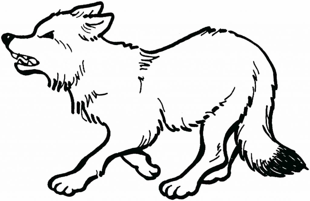 1024x665 Coloring Page Peter And The Wolf Coloring Pages Free Download