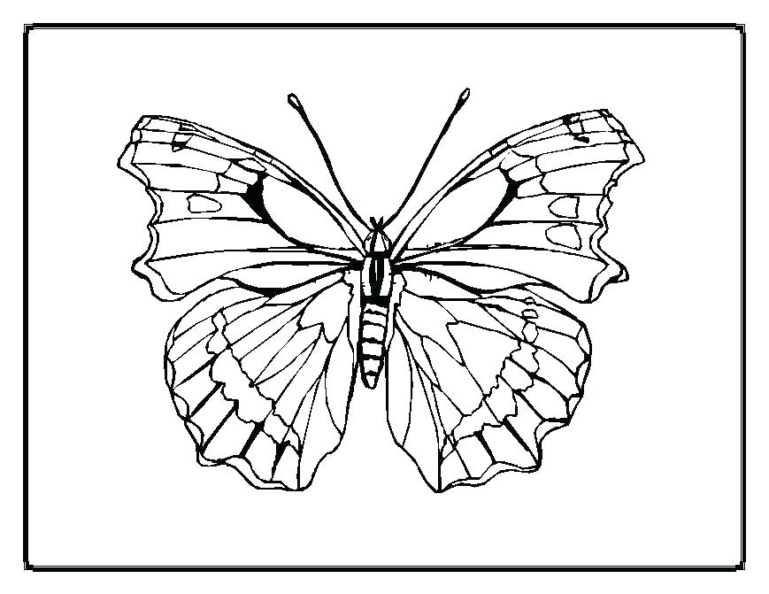 869x671 Printable Pictures Of Butterflies To Color