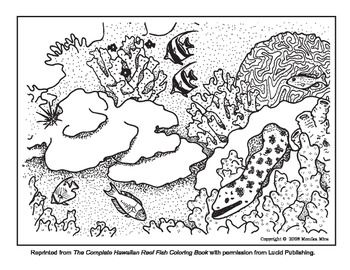 350x270 Free Coral Reef Coloring Sheets With Info About Reef Etiquette