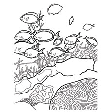 230x230 Top Coral Coloring Pages For Toddler