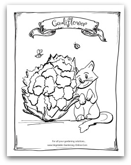 266x336 Free Vegetable Garden Coloring Books, Printable Activity Pages