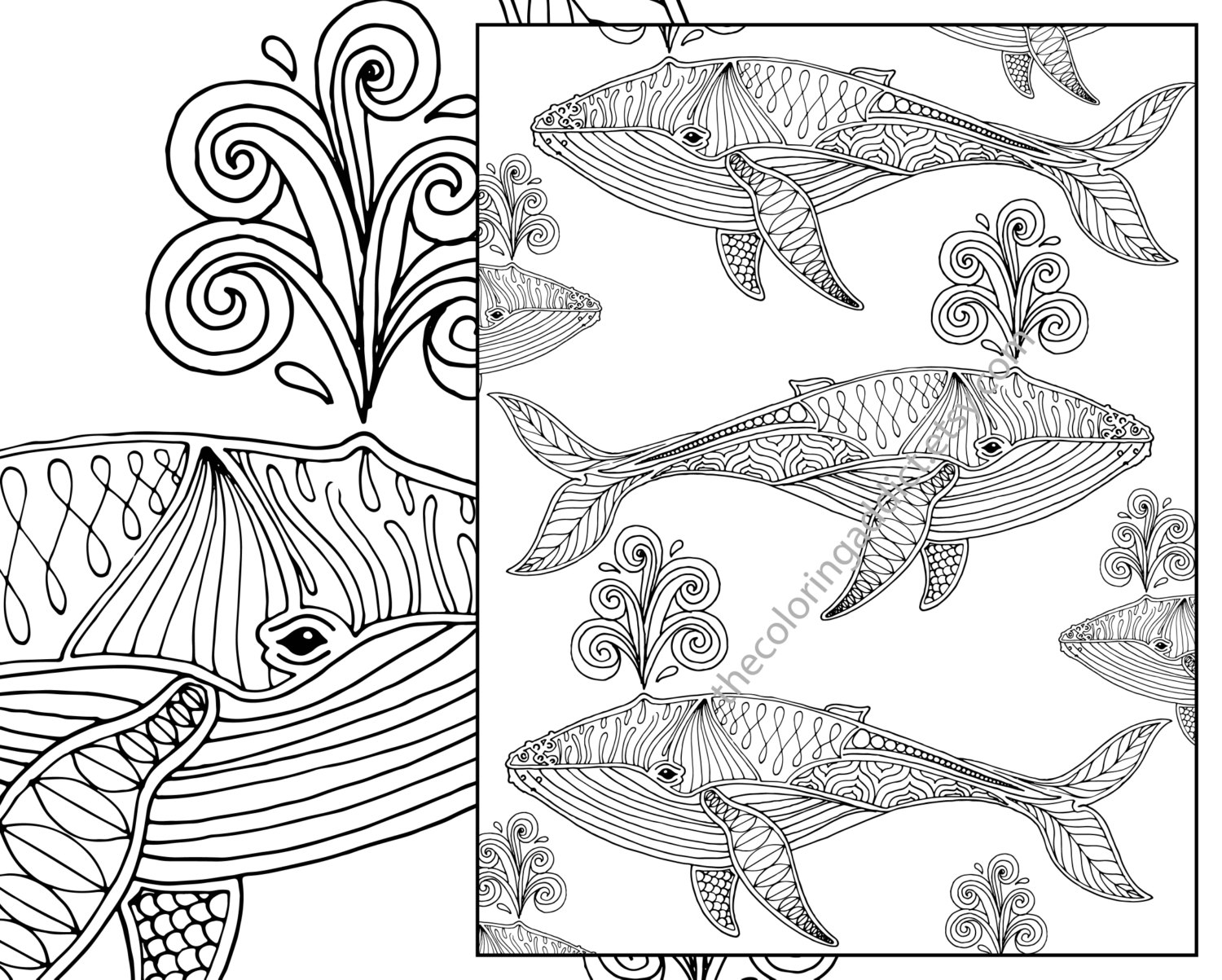 1500x1203 Nautical Coloring Pages For Adults Download Coloring For Kids