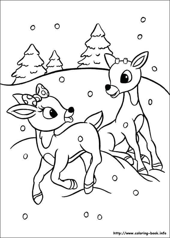 567x794 Reindeer Coloring Page The Red Nosed Reindeer Coloring Picture