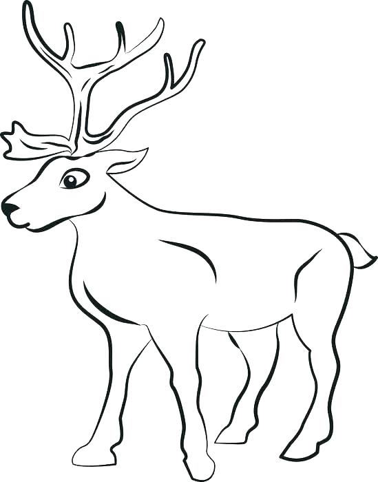 549x700 Reindeer Coloring Pages Reindeer Coloring Page Free Printable