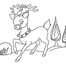230x230 Top Free Printable Reindeer Coloring Pages Online
