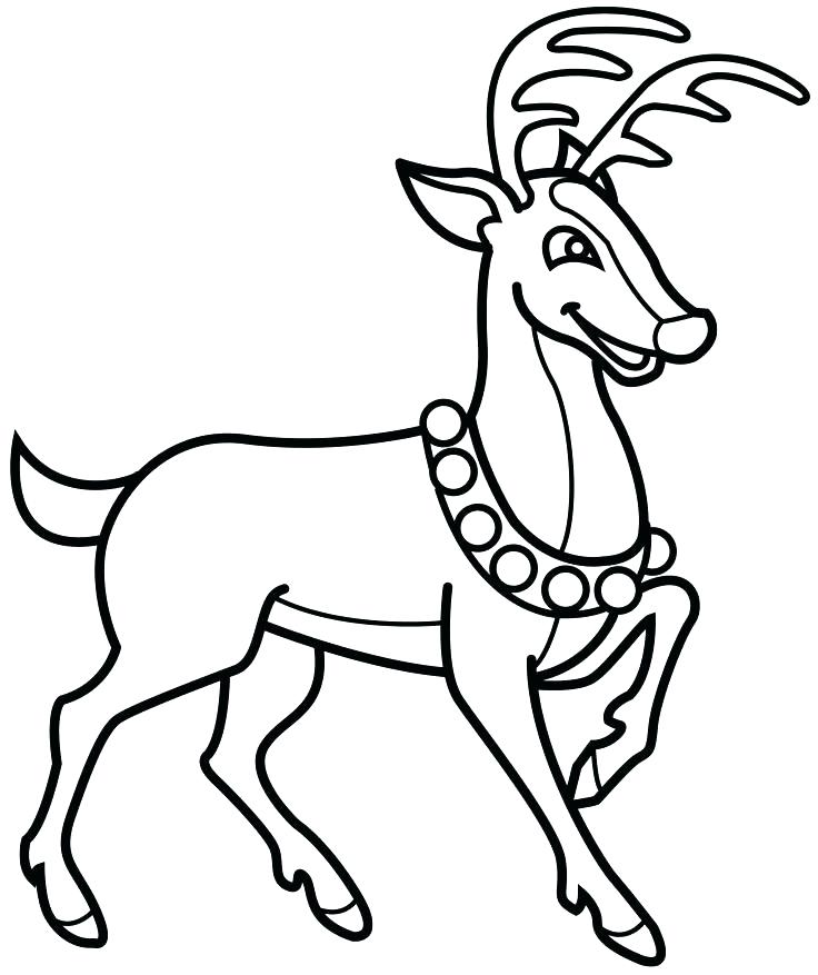 736x877 Reindeer Coloring Page