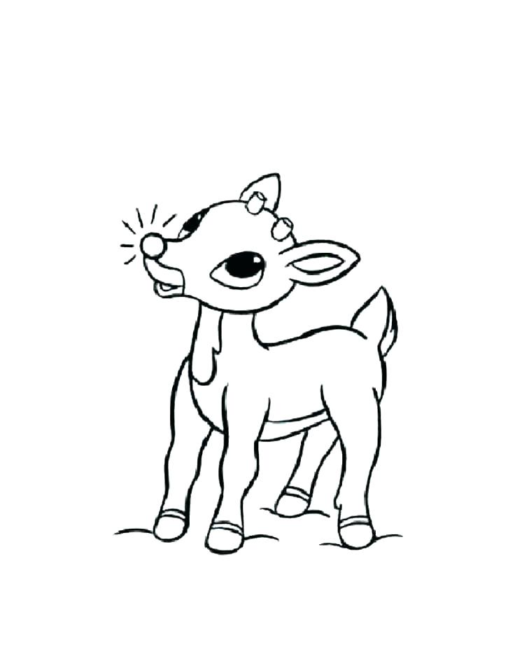 736x951 Coloring Reindeer The Red Nosed Reindeer Coloring Picture Coloring