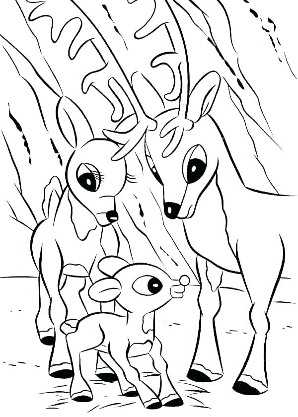 600x840 Realistic Reindeer Coloring Pages Professional