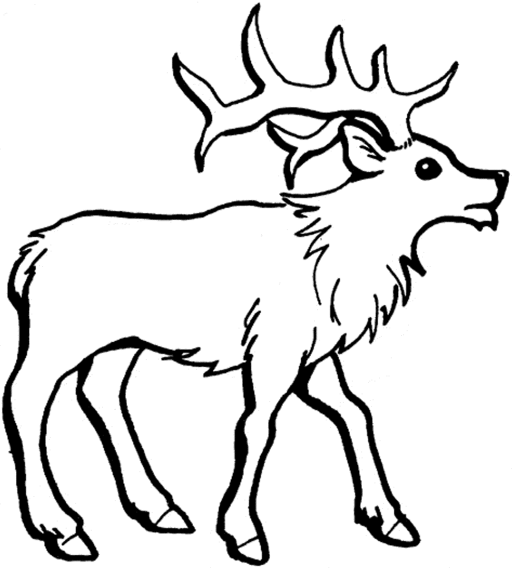 2000x2220 Reindeer Printable Coloring Pages