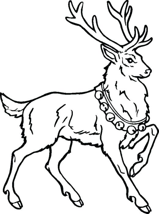 520x698 Rudolph Printable Coloring Pages Marvelous Design Ideas Reindeer