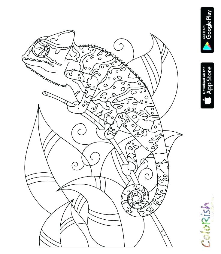 736x843 Reptile Coloring Pages Coloring Pages Of Reptiles Reptiles
