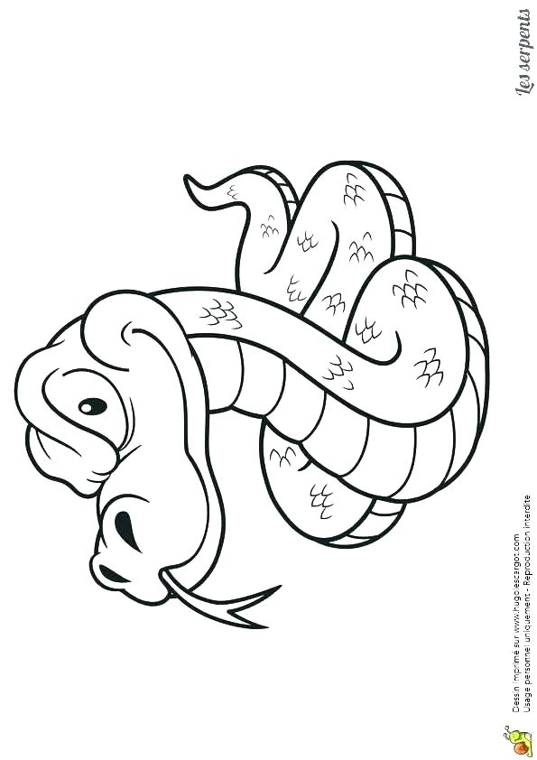595x842 Reptile Coloring Pages Pictures Of Reptiles To Color Reptiles