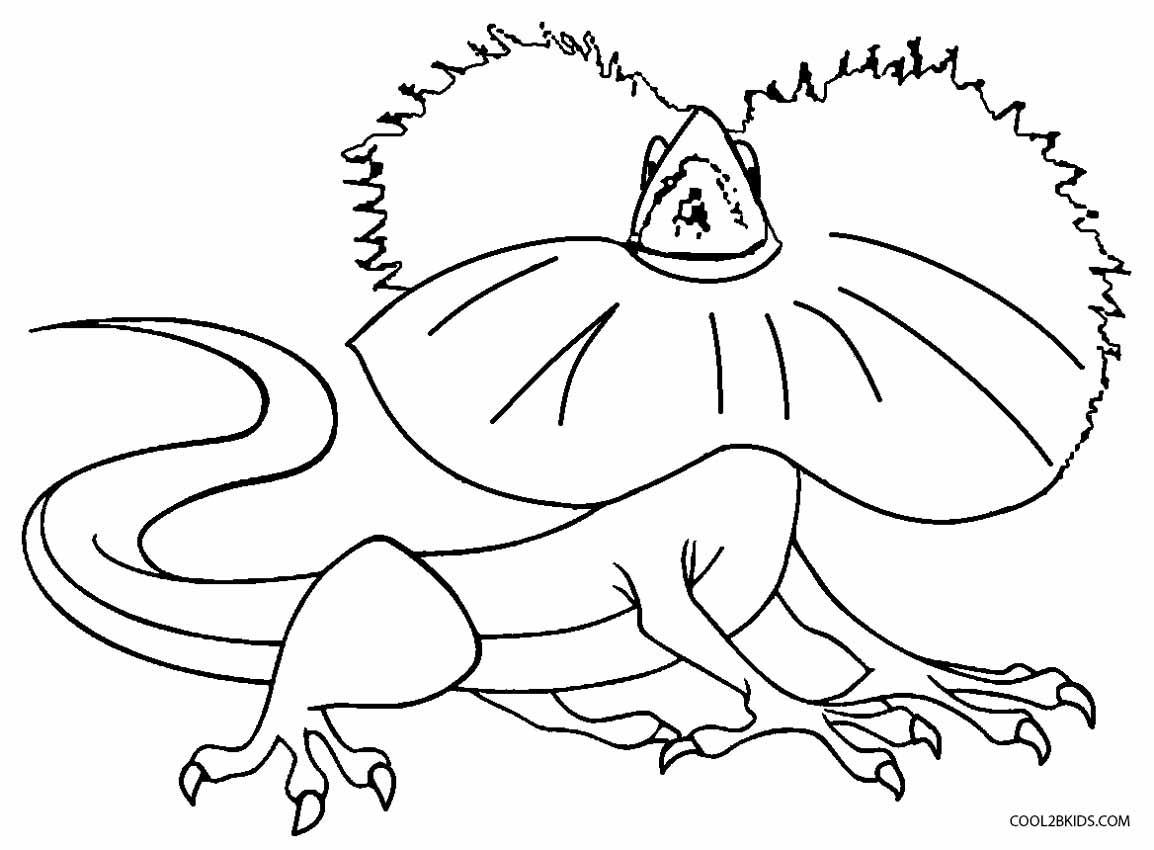 1154x850 Printable Lizard Coloring Pages For Kids Lizard
