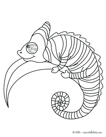 364x470 Reptiles Coloring Pages