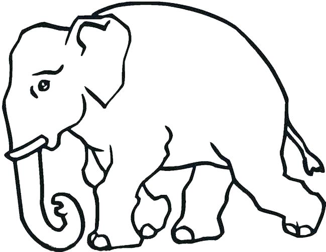 649x503 Coloring Page Elephant Coloring Pages Elephant Big Elephant