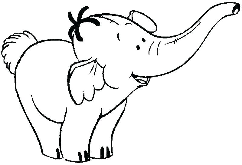 800x545 Coloring Page Elephant Elephant Color Page Elephants Pictures