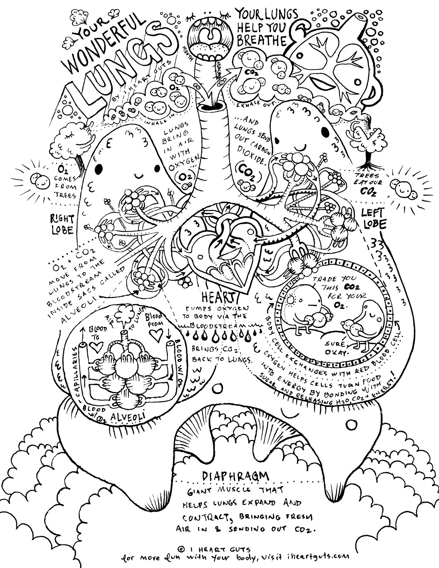 1500x1941 Respiratory System Coloring Page