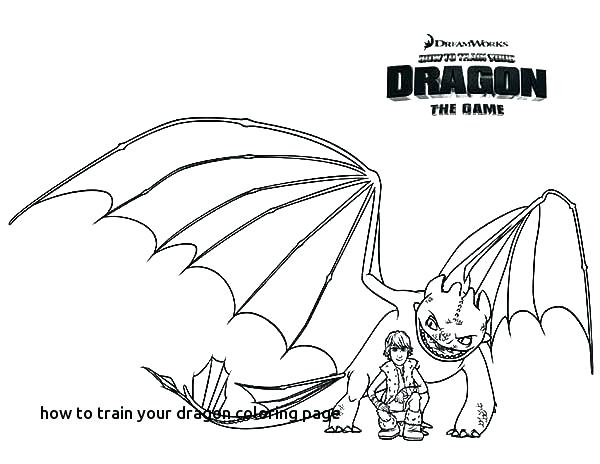 600x464 How To Train Your Dragon Toothless Colouring Pages Best Johns