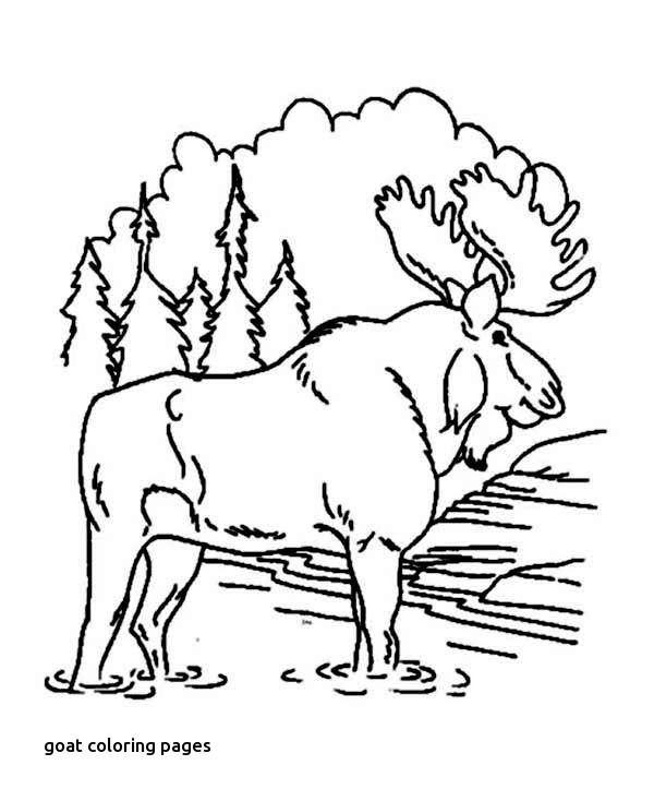 600x734 Best Johns Retirement Images On For Goat Coloring