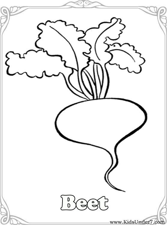 556x749 Vegetables Coloring Pages Vegetable Coloring Find Free Coloring