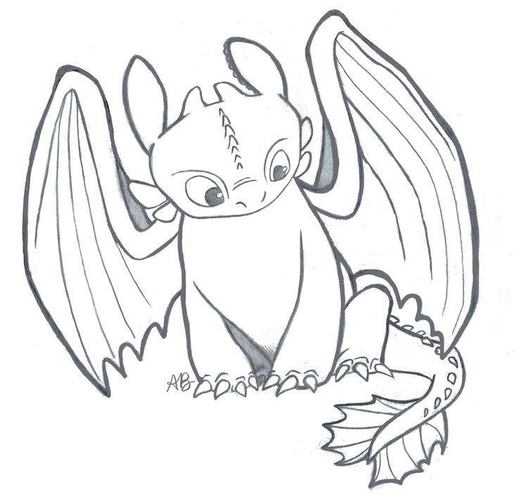 736x702 Toothless Dragon Coloring Pages