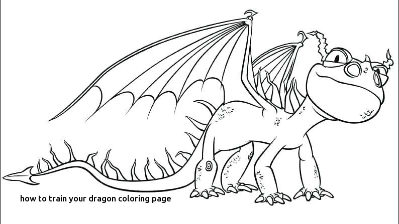 794x447 Best Johns Retirement Images On For How To Train Your